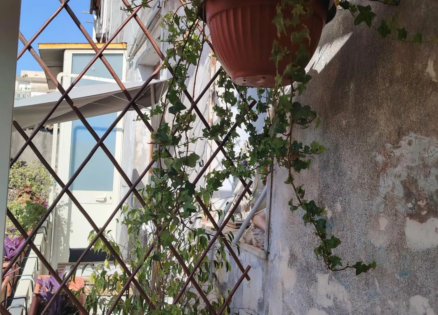 Carmen House Hotel Catania Italy